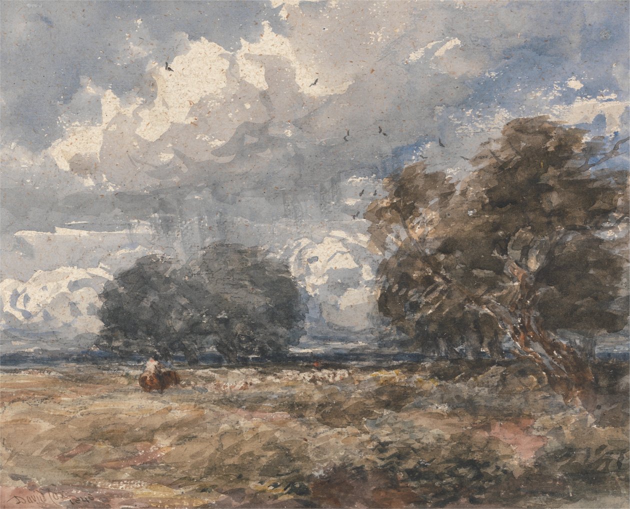A nyáj pásztorlása, szeles nap alkotó: David Cox
