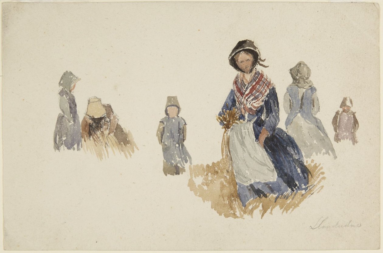 Nőtanulmányok alkotó: David Cox