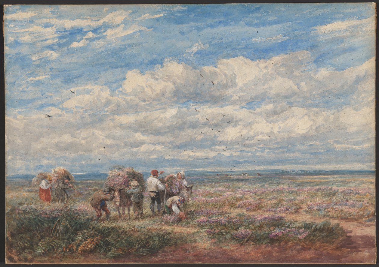 A hanga- vagy rekettyegyűjtők alkotó: David Cox