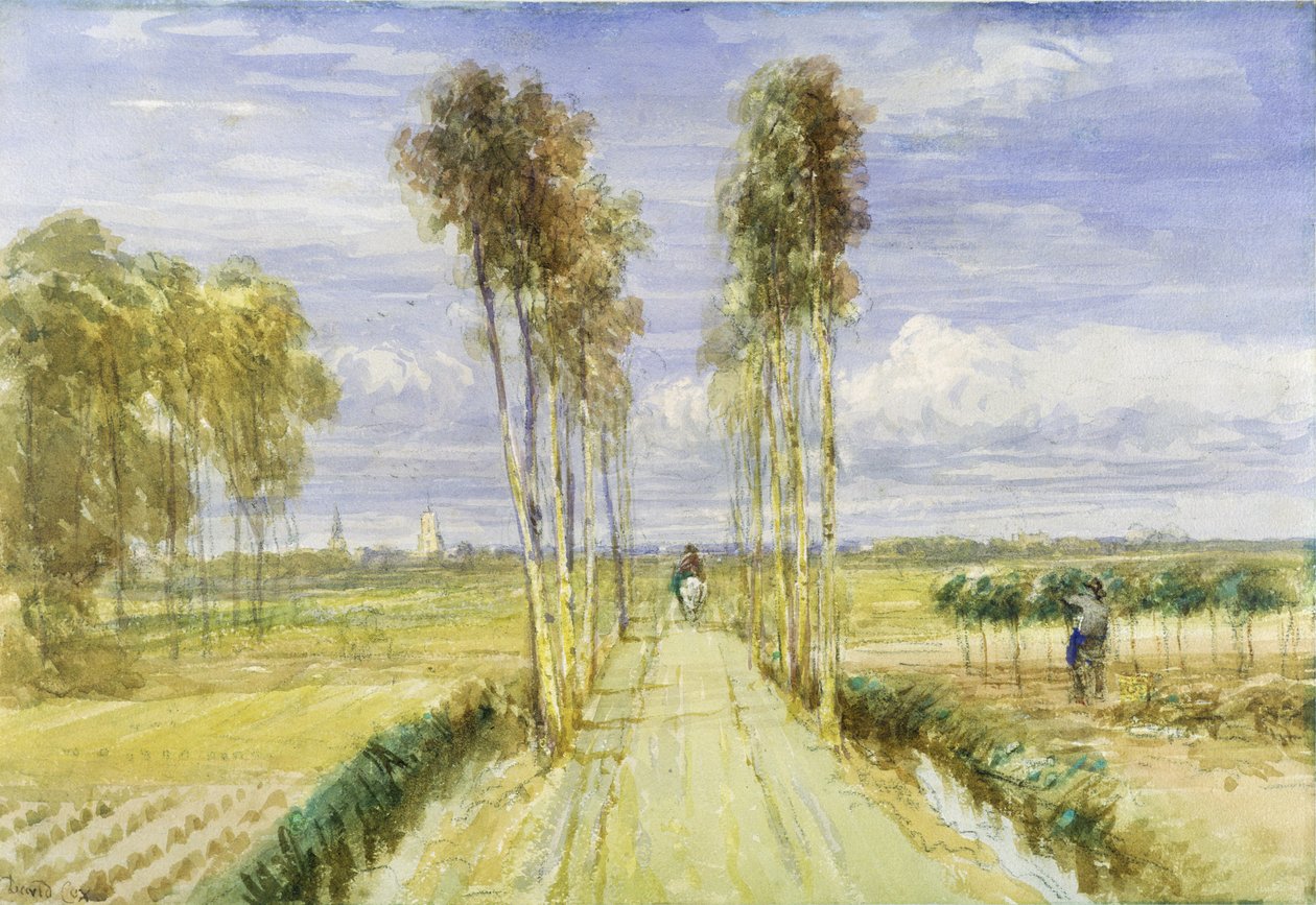 The Poplar Avenue (akvarell ceruzával és fekete kréta papíron) alkotó: David Cox