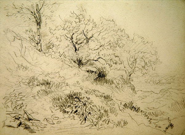 Walesi táj (kréta papíron) alkotó: David Cox