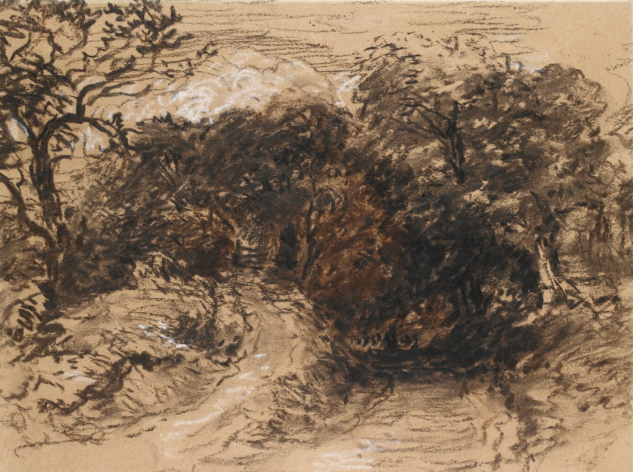 Egy üreges Lane Harborne közelében, Derbyshire államban, 19. század alkotó: David Cox the elder