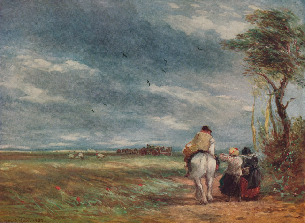A szénaföldre megy, 1852 alkotó: David Cox the elder