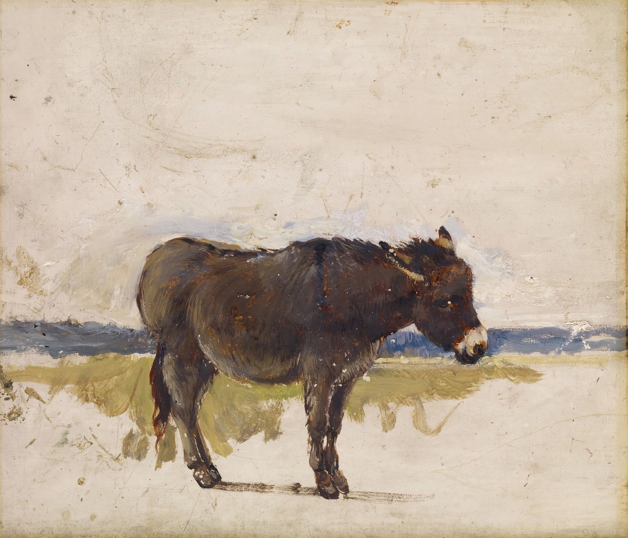 Tanulmány egy szamárról, 1841-1843. alkotó: David Cox the elder