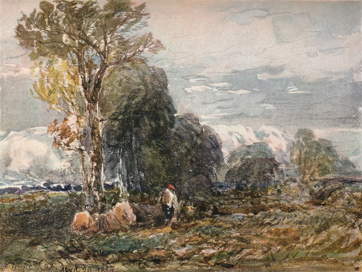 A favágó, 1858 alkotó: David Cox the elder