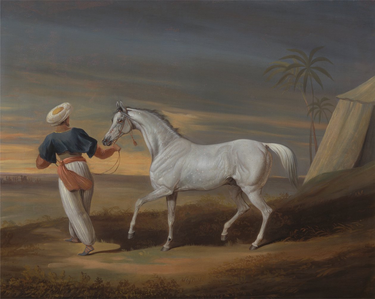 Signal, egy szürke arab, egy vőlegénnyel a sivatagban alkotó: David Dalby of York