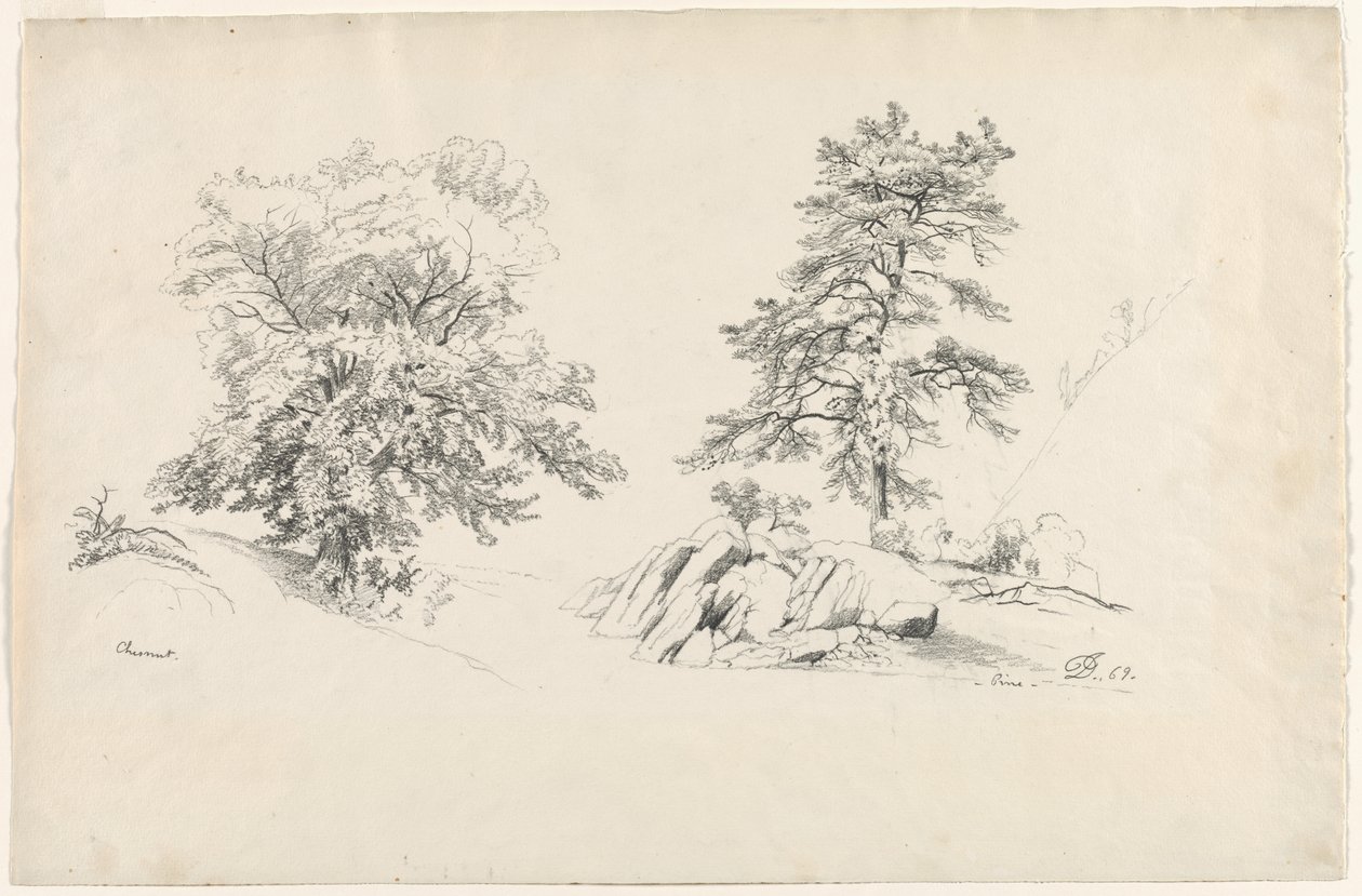 Gesztenye és fenyő, 1869. alkotó: David Johnson
