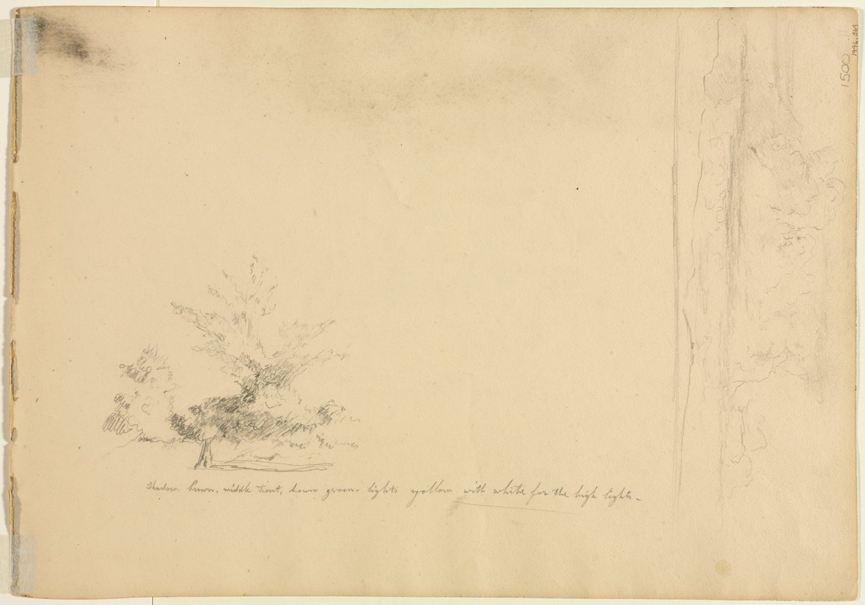 Táj- és fatanulmányok verso, c. 1851. alkotó: David Johnson