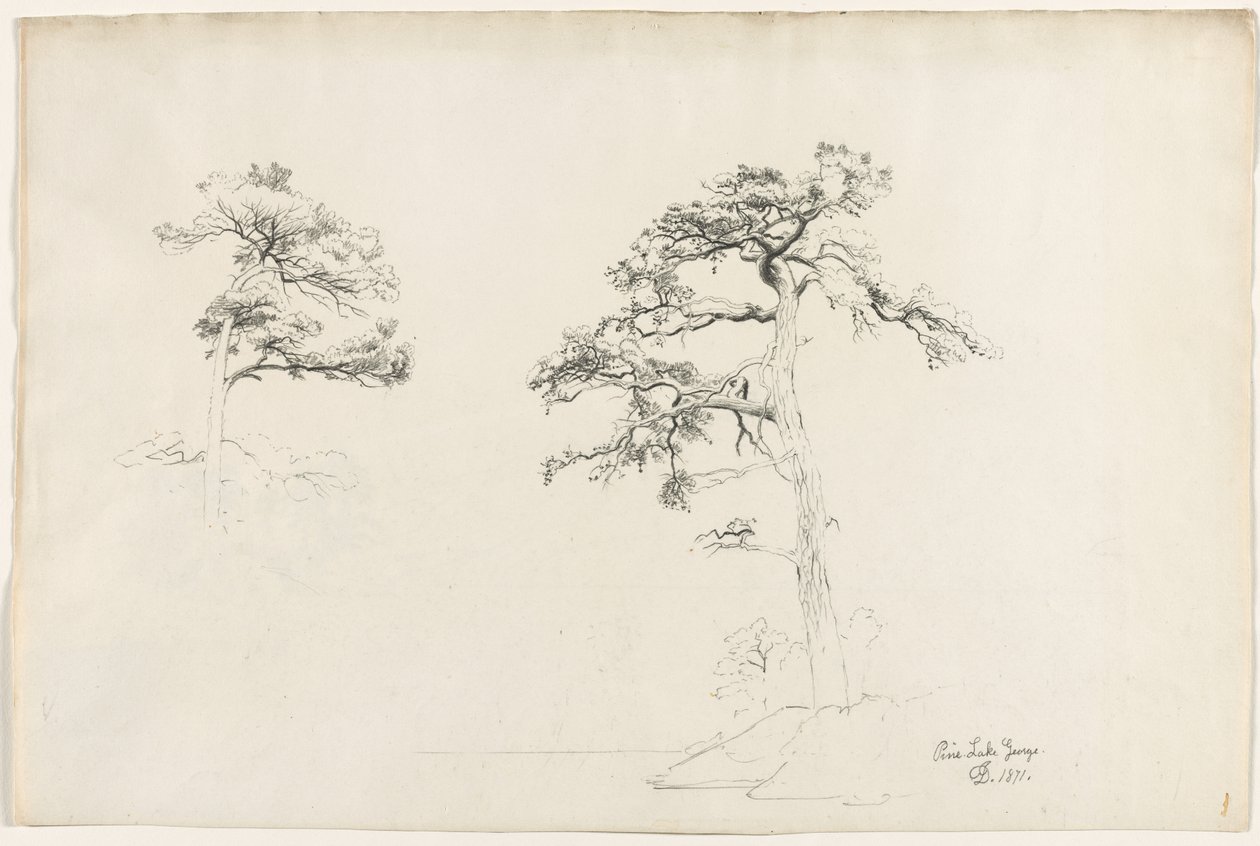 Pine, Lake George, 1871. alkotó: David Johnson