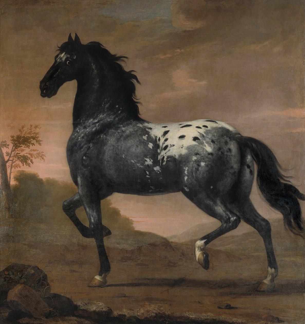 XI. Károly „Kék Tigris” nevű lova, 1673 alkotó: David Klöcker Ehrenstrahl