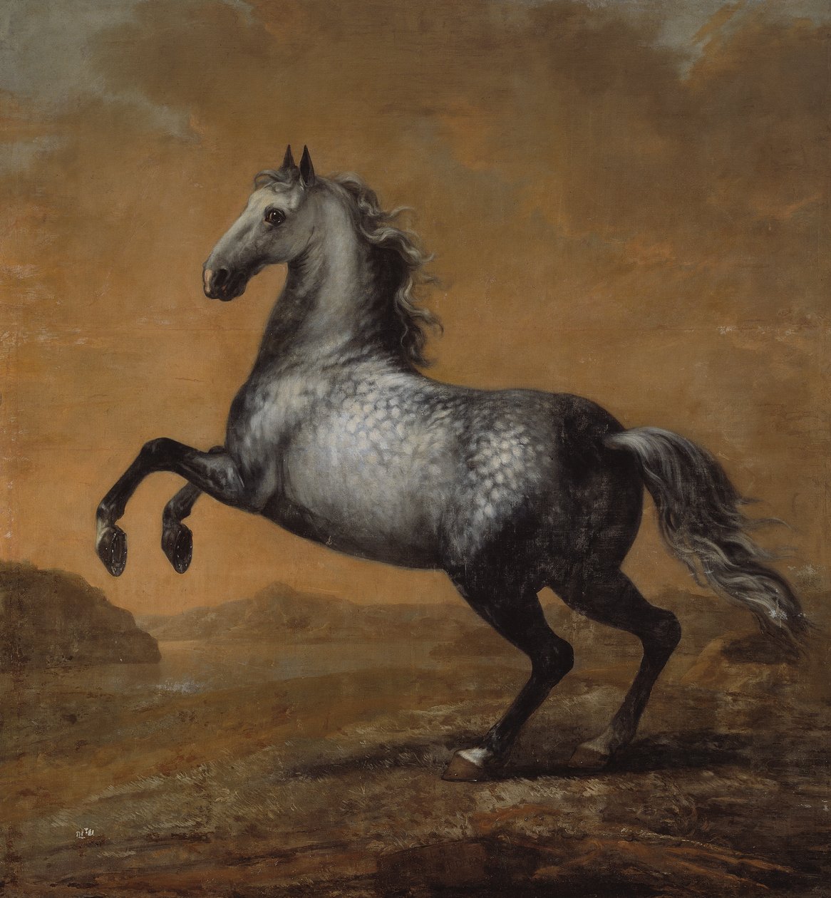 A kis angol, XI. Károly király (1655-97) lova alkotó: David Klöcker Ehrenstrahl