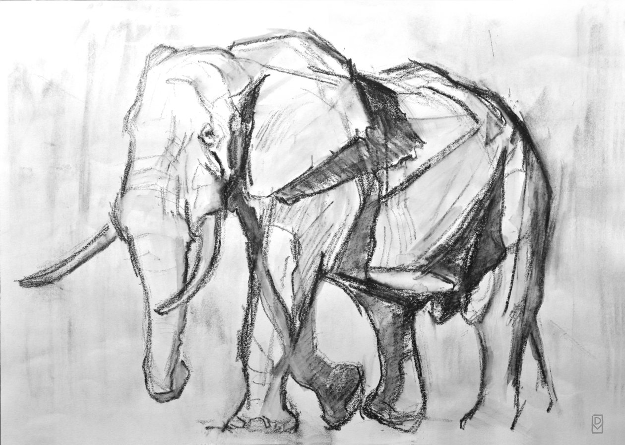 African Bull Elephant, 2019 (faszén papíron) alkotó: David Mayer