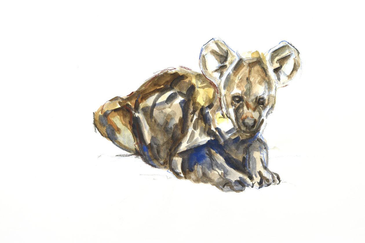 Hiéna kölyökkutya, 2020 (akvarell, zsírkréta és gouache papíron) alkotó: David Mayer