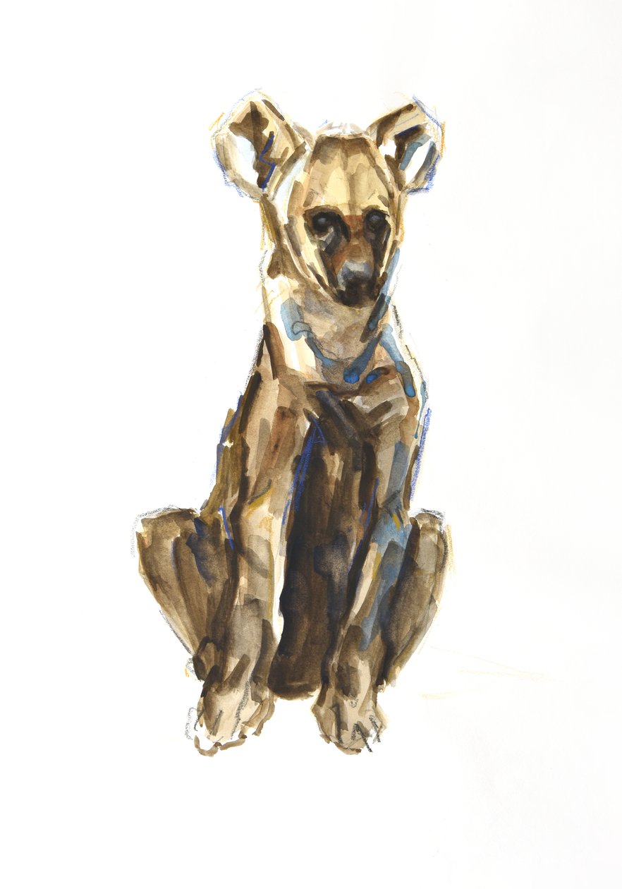Hiéna kölyökkutya, 2020 (akvarell, zsírkréta és gouache papíron) alkotó: David Mayer