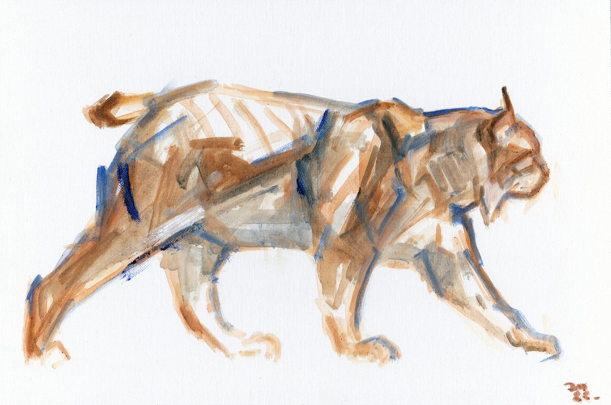 Lynx, 2022 (olaj, vászon fektetett panel) alkotó: David Mayer