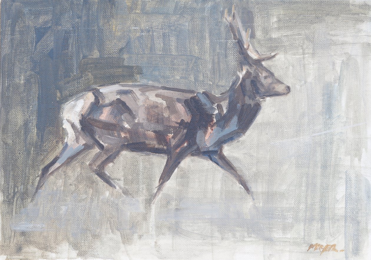 Red Deer Stag Running, 2023 (olaj, vászon) alkotó: David Mayer