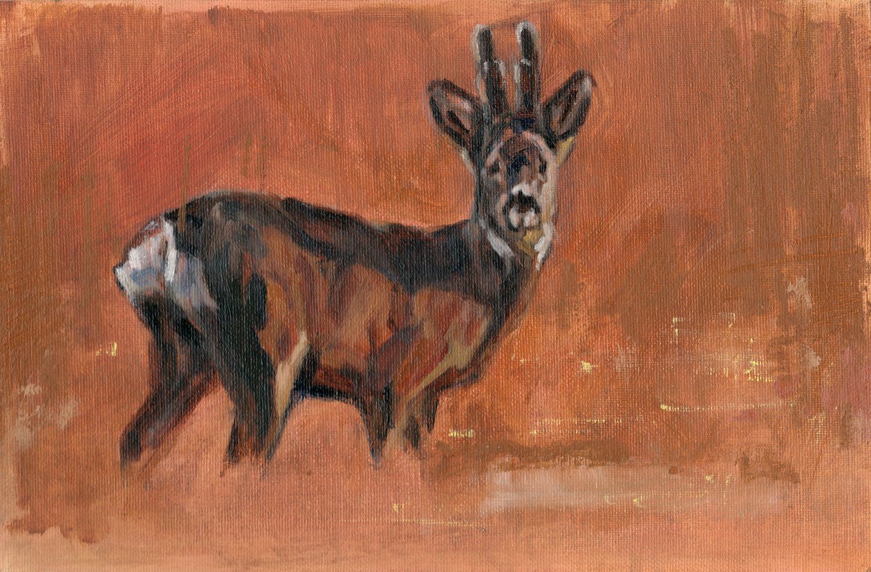 Roe Buck, 2021 alkotó: David Mayer