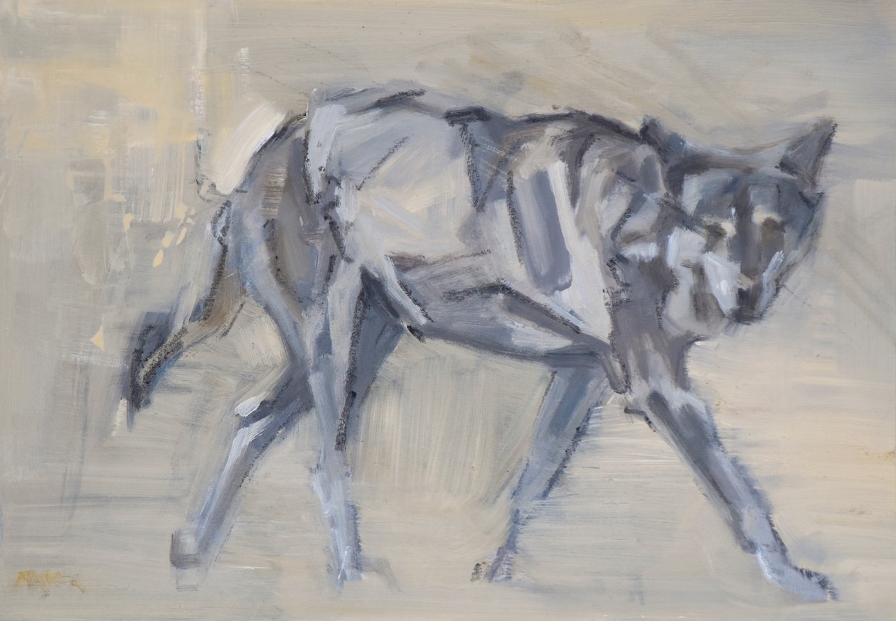 Wolf 11, 2023 (olaj, tábla) alkotó: David Mayer