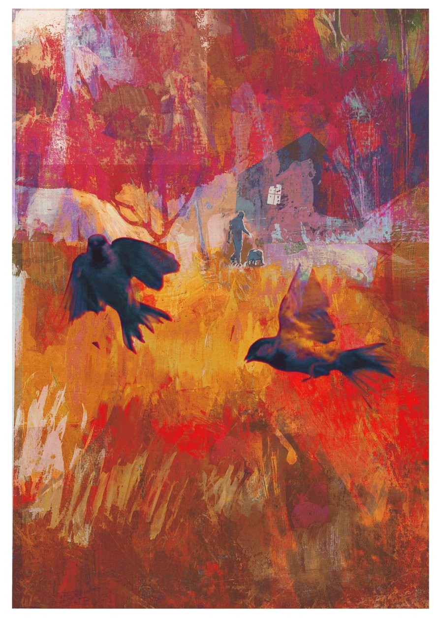 Veréb, 2016 alkotó: David McConochie