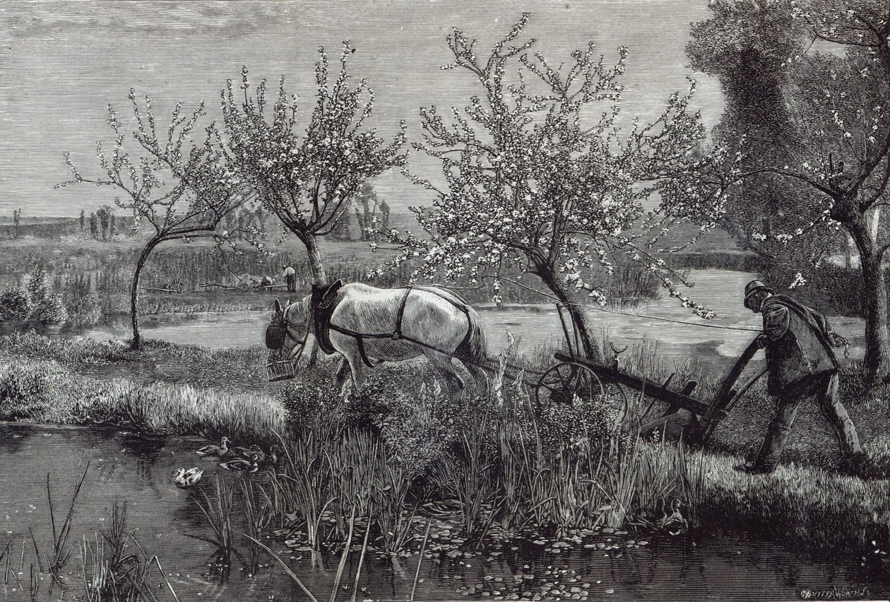 „Egy kis farm, jól megművelt”, Pikárdia, a „Szabadidő órából”, 1888 alkotó: David Murray