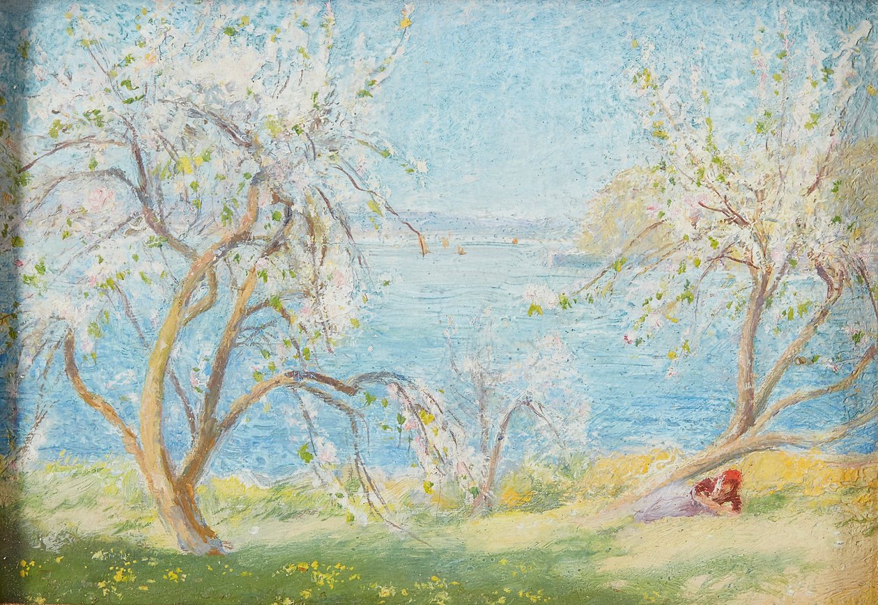 Spring Sunshine (olaj a fedélzeten) alkotó: David Murray