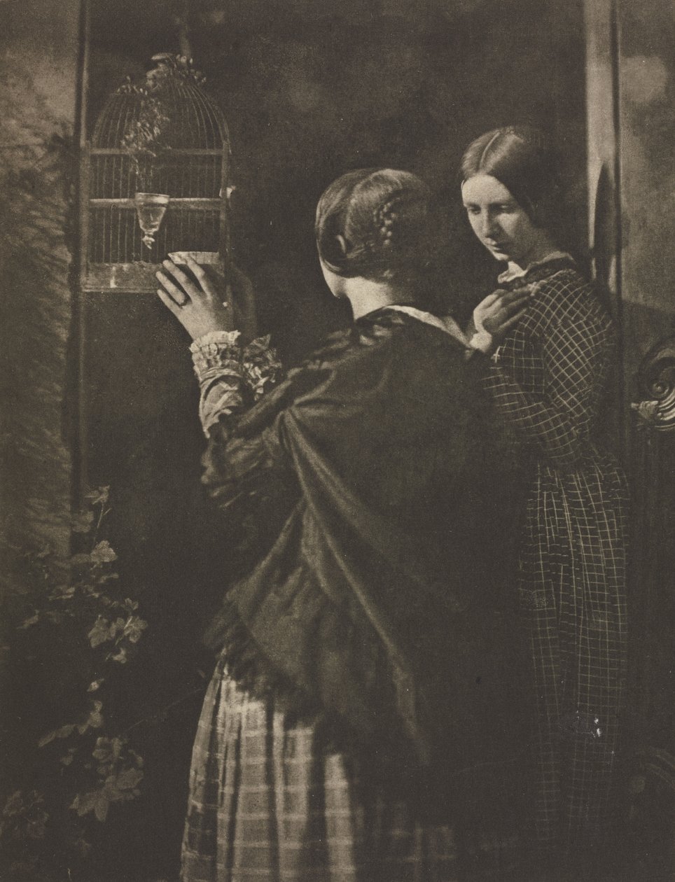 Kameramunka: A madárkalitka, 1909. alkotó: David Octavius Hill