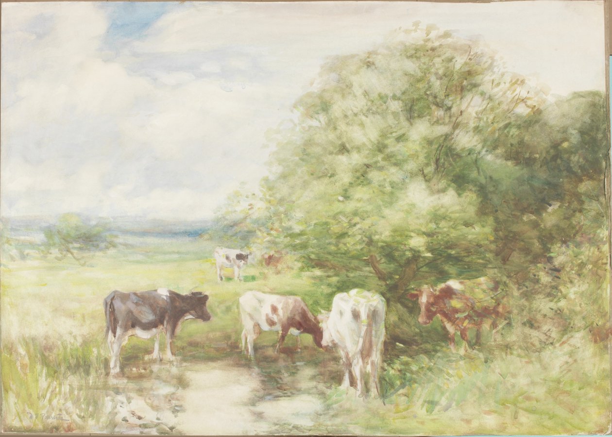 Az árnyas medence (akvarell papíron, kártyán) alkotó: David T. Robertson