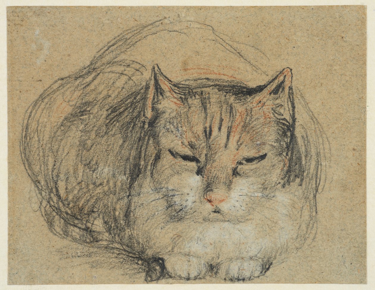 Macska, tanulmány a „Vágott ujjhoz” (recto), 1809 körül (fekete, vörös-fehér kréta, fekete-fehér kréta fektetett papíron) alkotó: David Wilkie