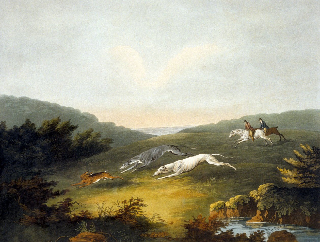 Coursing, 2. tábla, metszett R.G. Várnagy alkotó: Dean Snr. (after) Wolstenholme