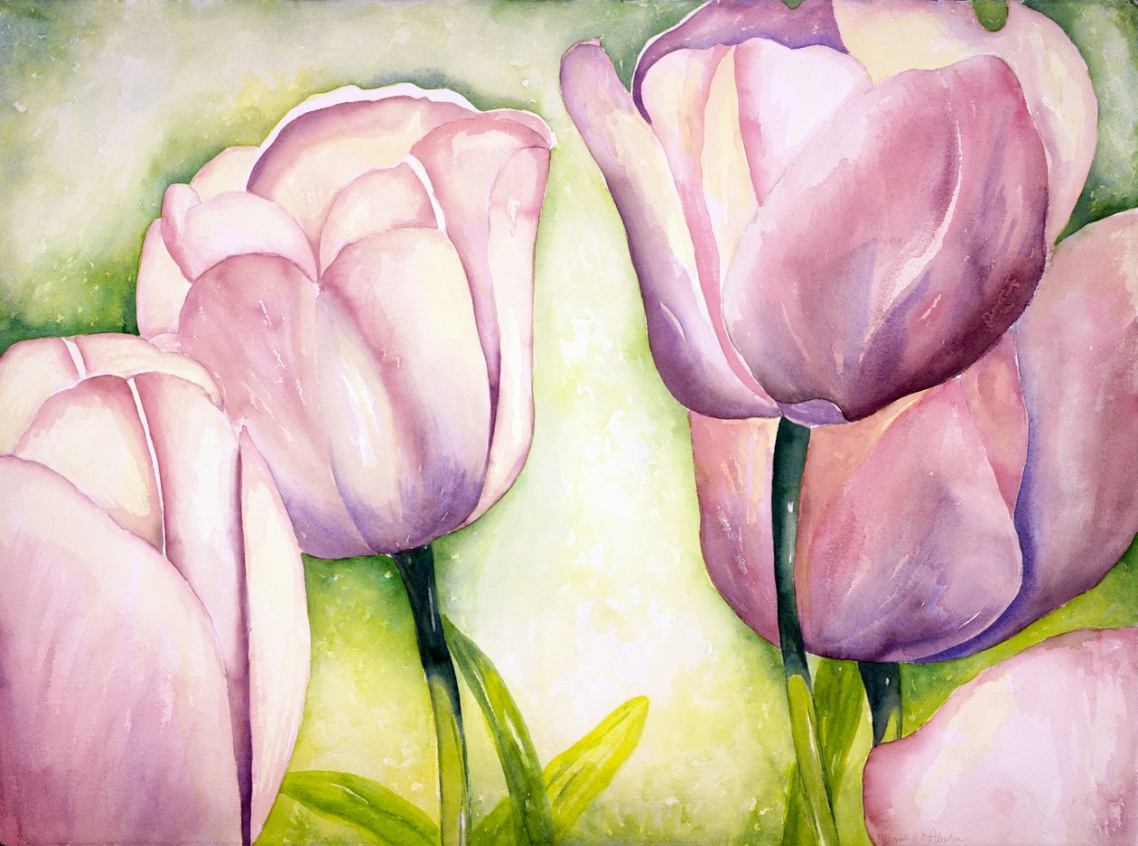 Levendula tulipán, 2006 (akvarell) alkotó: Deborah Eve Alastra