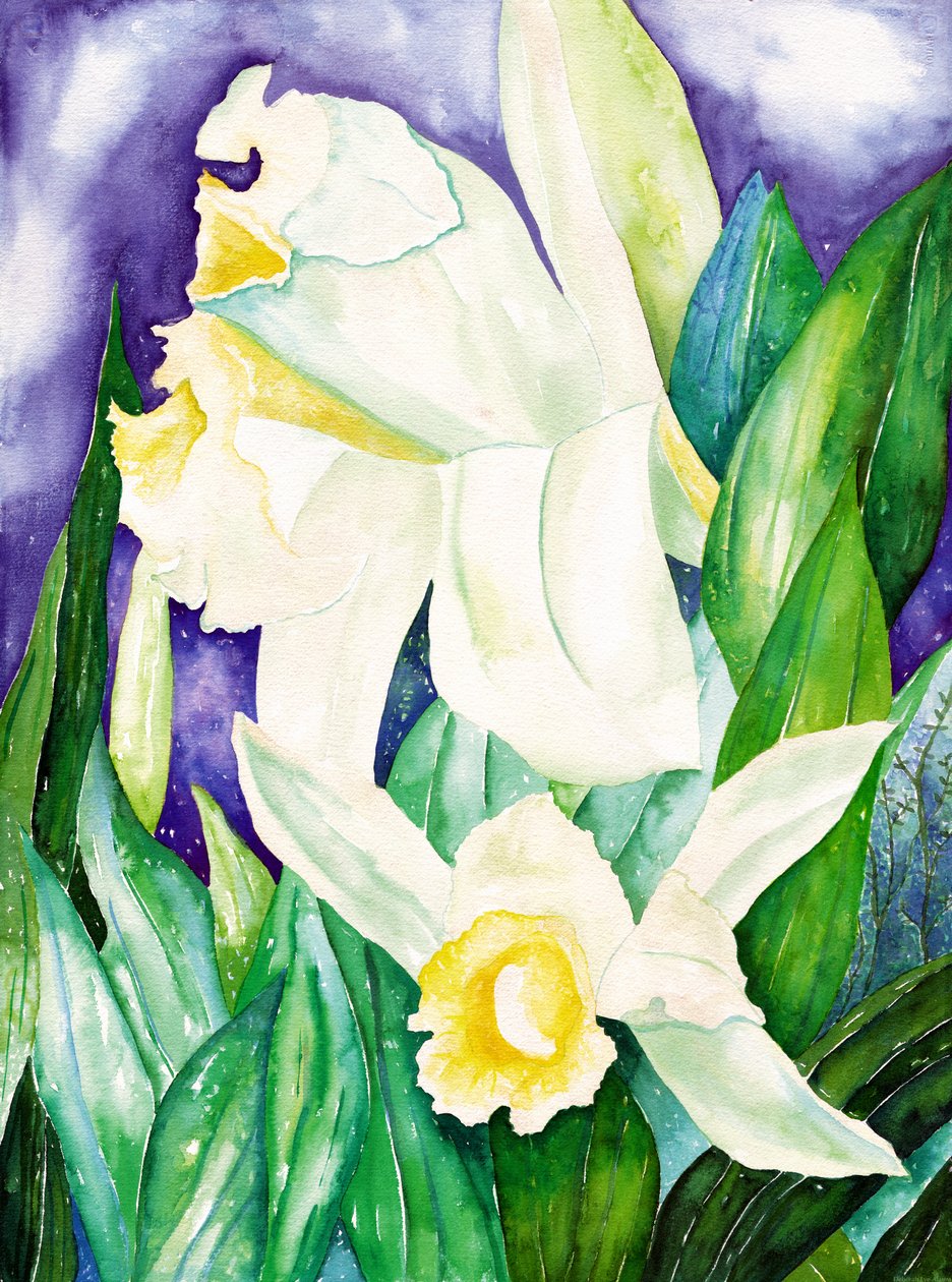 Éjszakai orchideák, 2007 (akvarell) alkotó: Deborah Eve Alastra