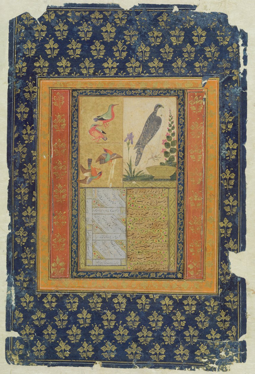 Madártanulmány és kalligráfia, Golconda, Andhra Pradesh, 1570, (guache, tinta és arany papíron, díszített szegéllyel) alkotó: Deccani School