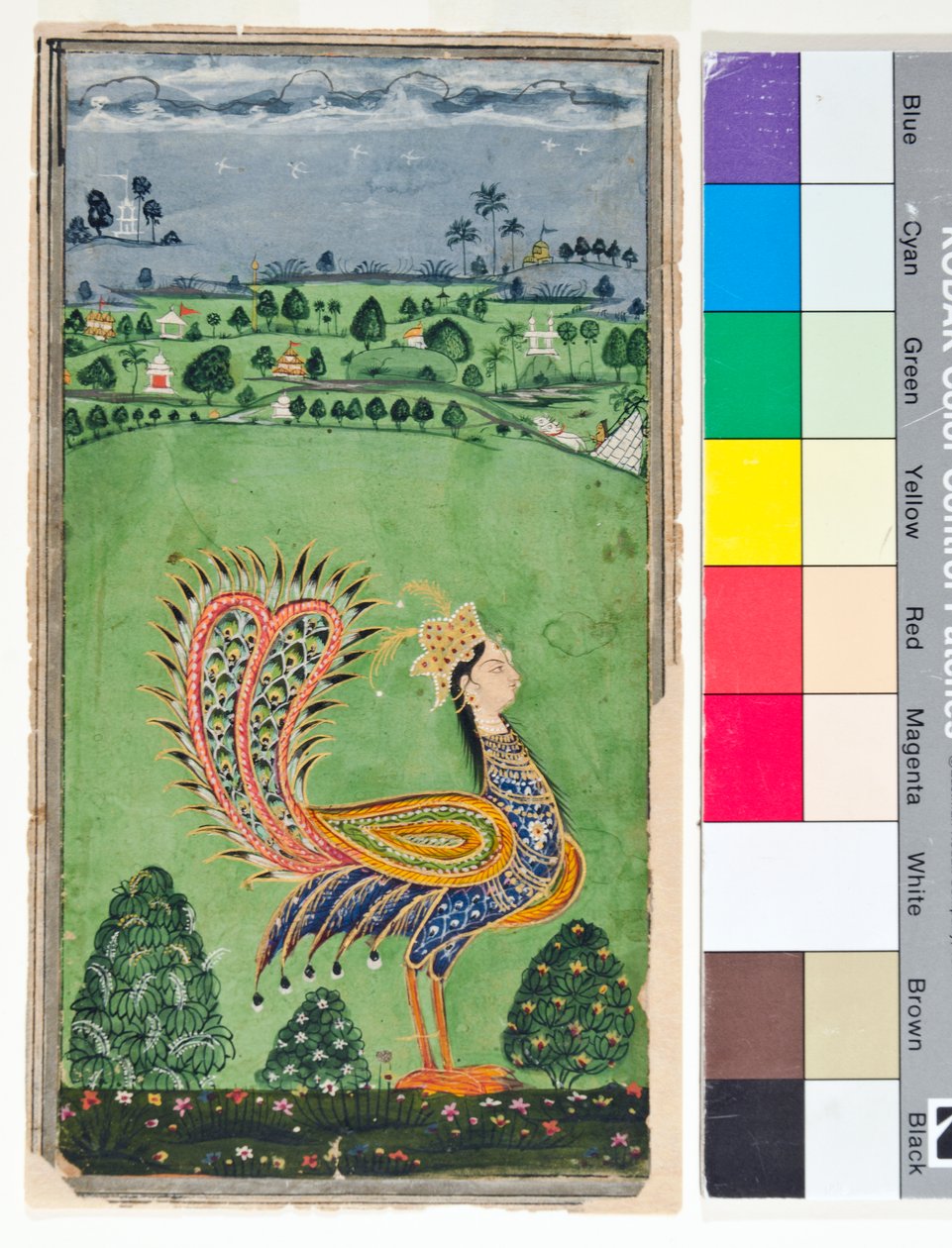 Mitikus páva női fejjel, 1750 körül (átlátszatlan w/c és arany a papíron) alkotó: Deccani School