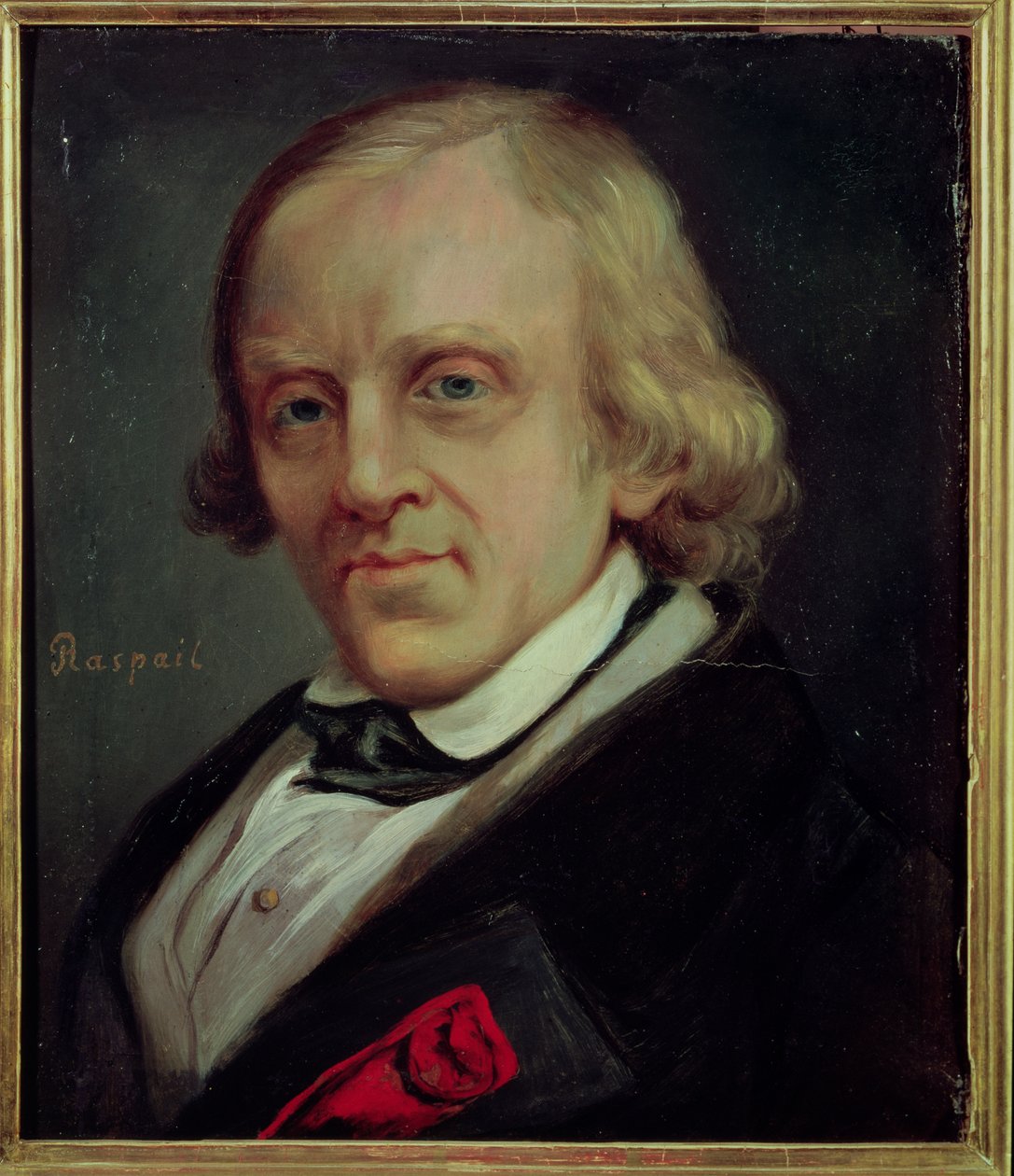 Francois Vincent Raspail (1794-1878) 1849 alkotó: Denis Bonnet