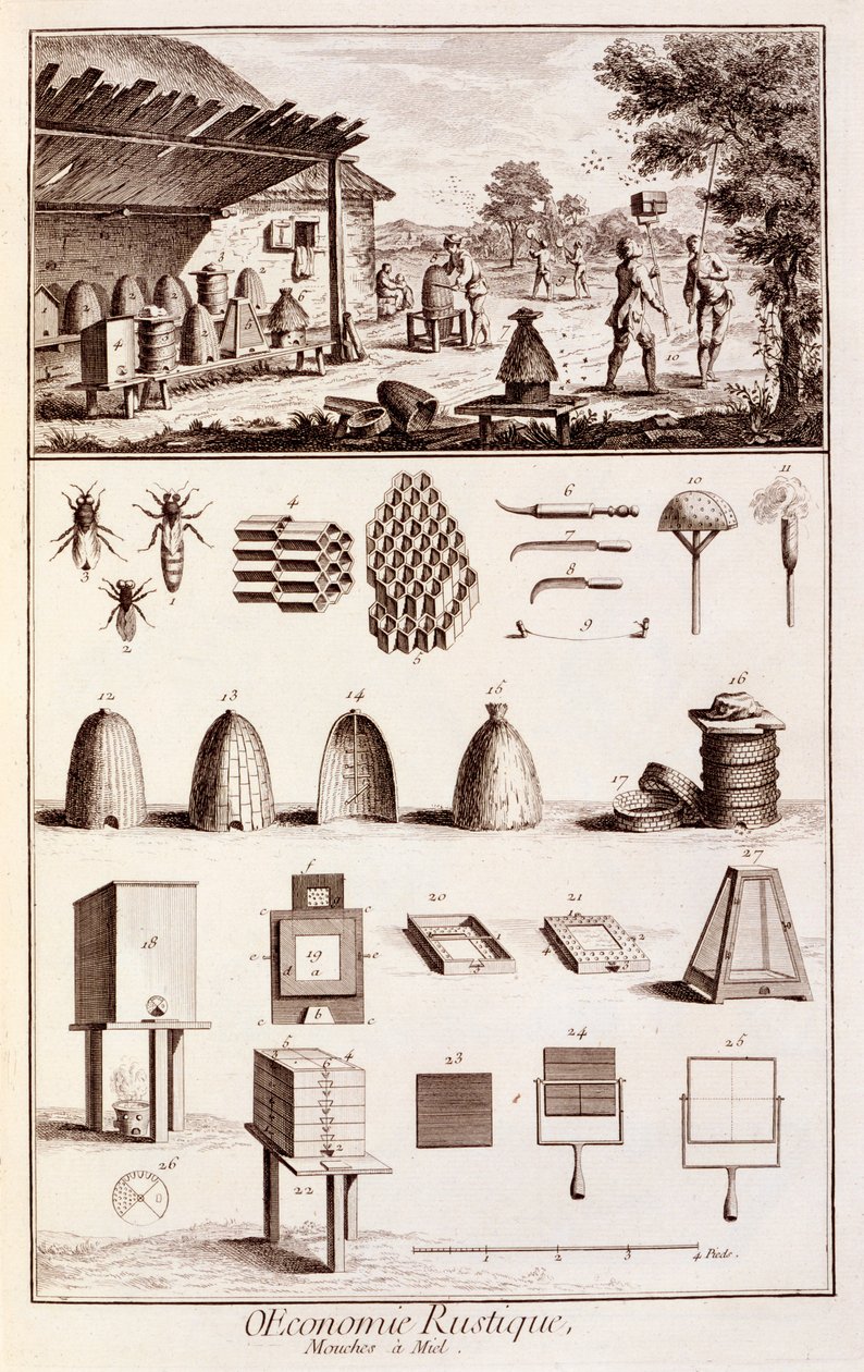 Méhészet, a "Tudományos szótárból", 1770 körül (lásd még: 746839) alkotó: Denis Diderot