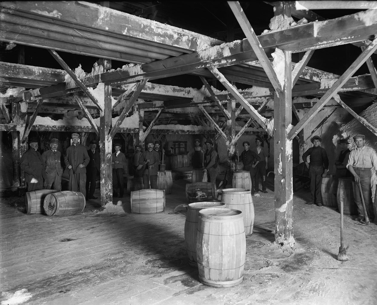 Del Ray Salt Co., 1900-20 körül alkotó: Detroit Publishing Co.