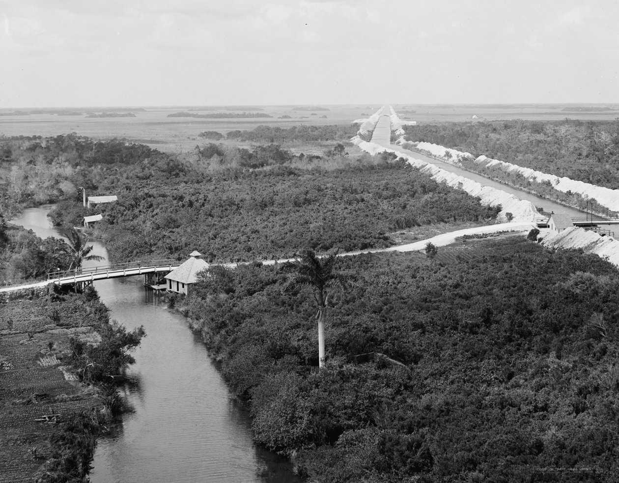 Vízelvezető csatorna és Everglades, Miami, Florida, 1910-20 körül alkotó: Detroit Publishing Co.