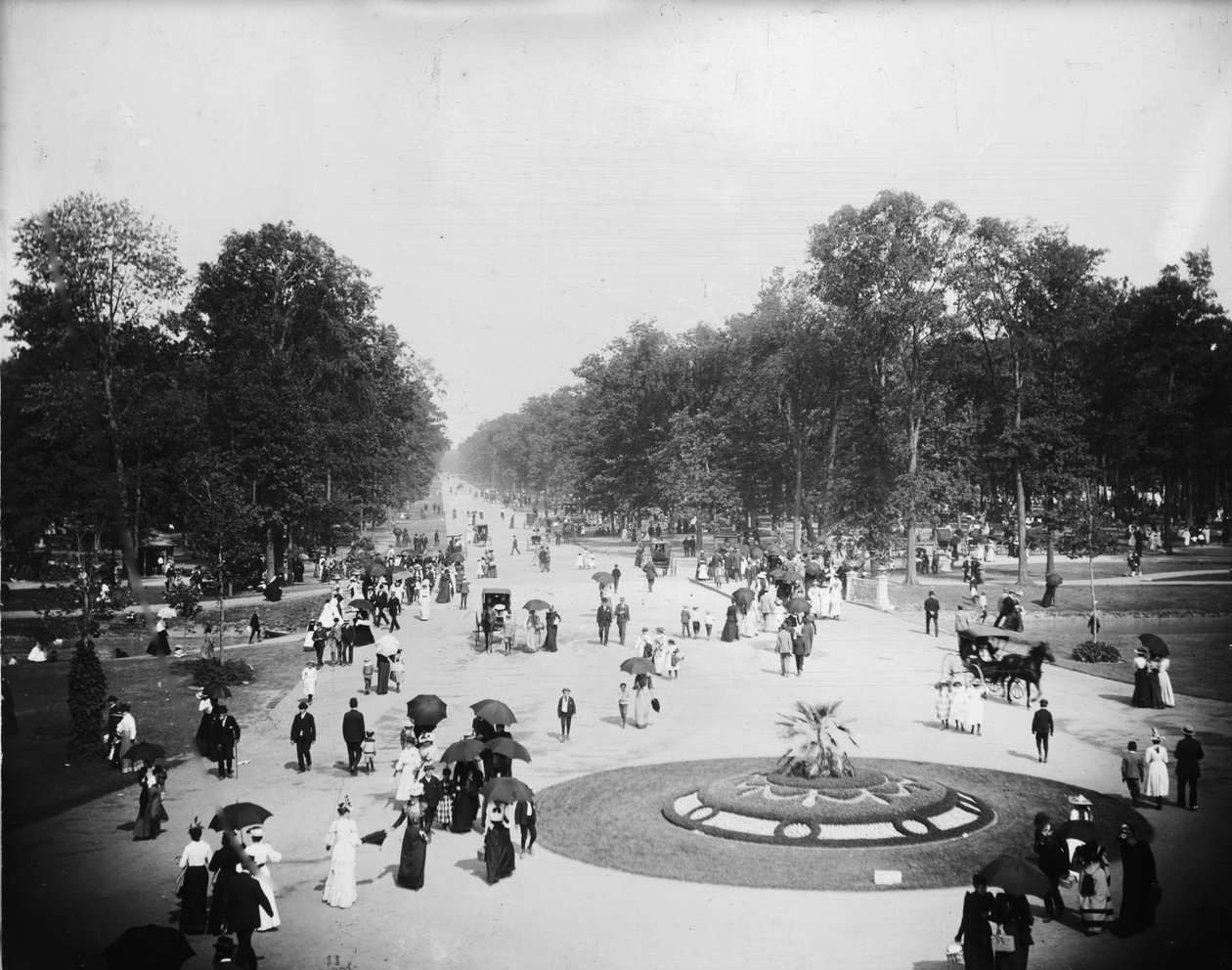 Általános nézet, Los Angeles, Kalifornia, 1880-99 körül alkotó: Detroit Publishing Co.