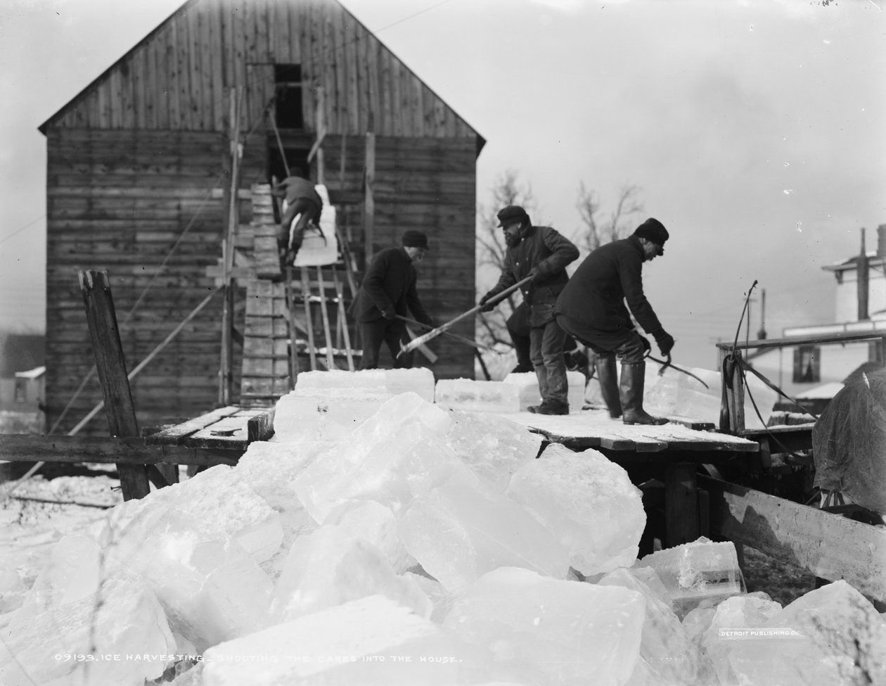 Jégszüret, a sütemények házba lövése, 1903 körül alkotó: Detroit Publishing Co.