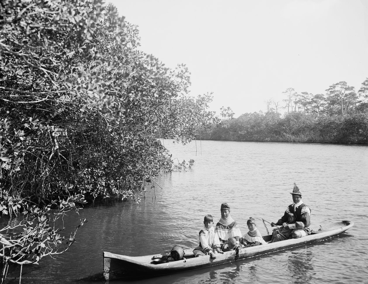 Seminole indiai és családi ásó kenu, Miami, Florida, 1910-20 alkotó: Detroit Publishing Co.