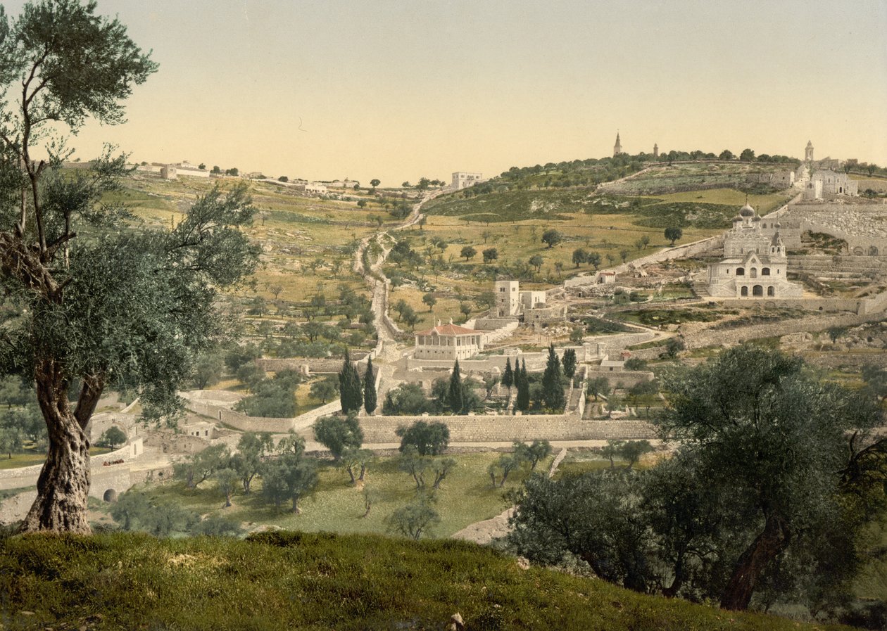 Olajfák hegye és Gecsemáné, általános kép, Jeruzsálem, 1890 körül – 1900 körül (fényképnyomat) alkotó: Detroit Photographic Co.