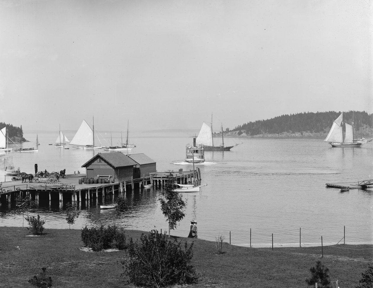 Bar Harbor, Mt. Desert Island, Maine, a Newport House kikötője, 1901 körül alkotó: Detroit Publishing Co.