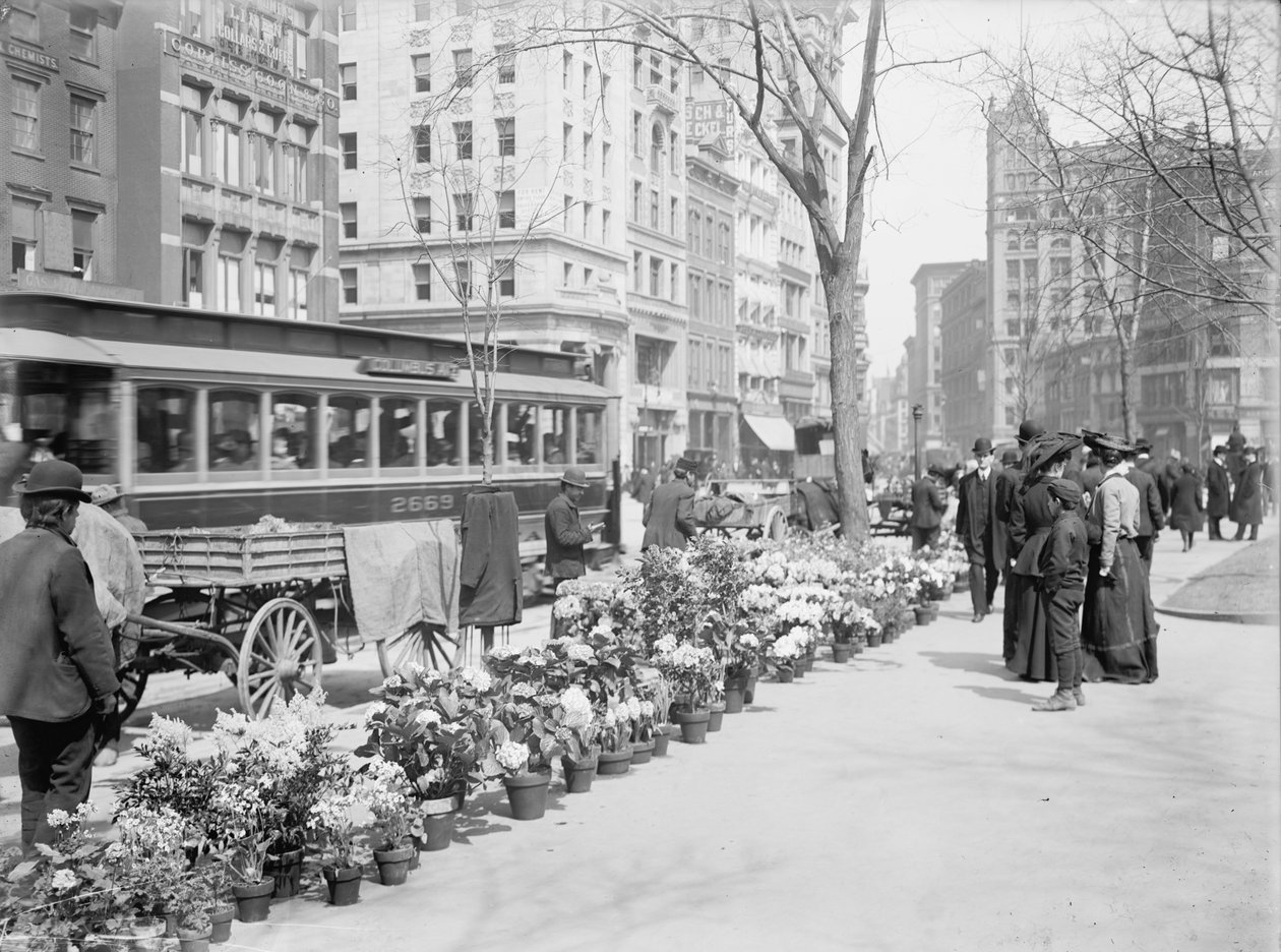 Virágárusok, Easter Display, New York City, USA, 1904 körül alkotó: Detroit Publishing Co.