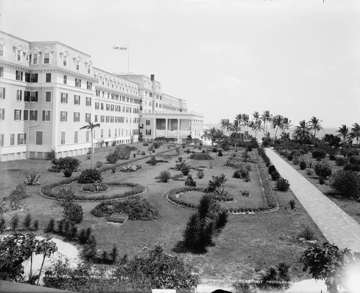 Hotel Royal Palm, Miami, Florida, 1900 körül alkotó: Detroit Publishing Co.