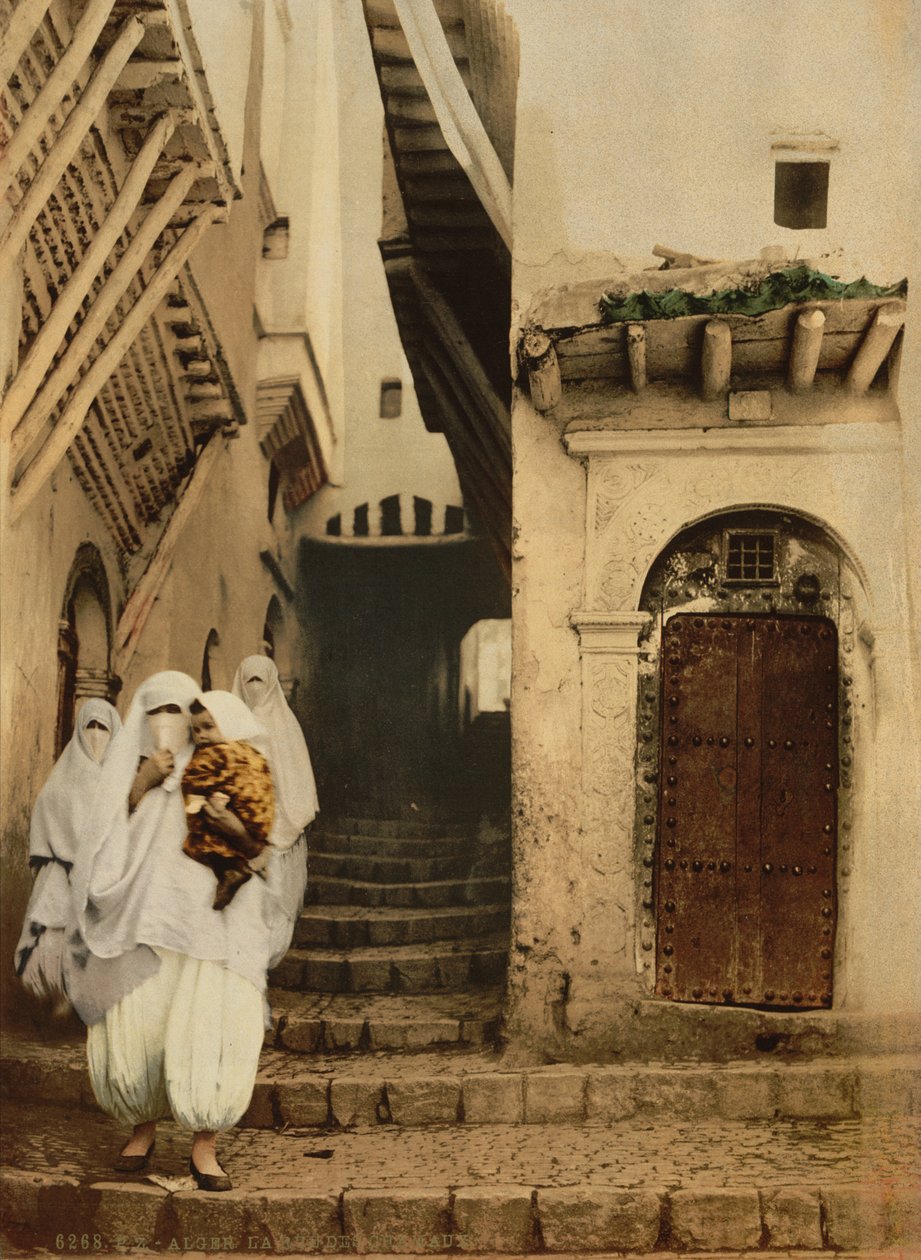 A tevék utcája, Algír, 1899 körül (photochrom) alkotó: Detroit Publishing Co.