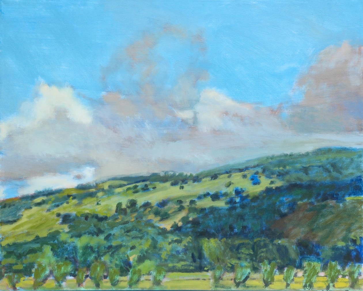 Calif Hills, 2006 (pasztell, papír) alkotó: Diana Jahns