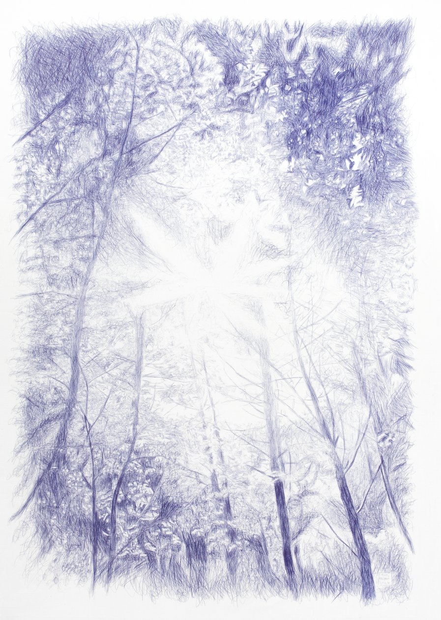  alkotó: Diego Beyro