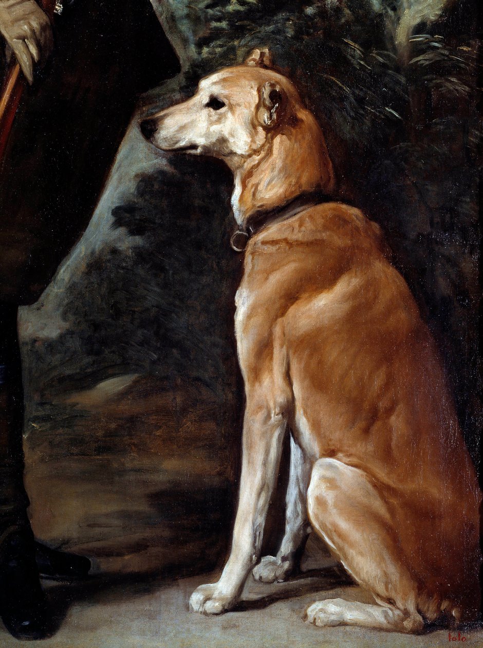 Ferdinand D