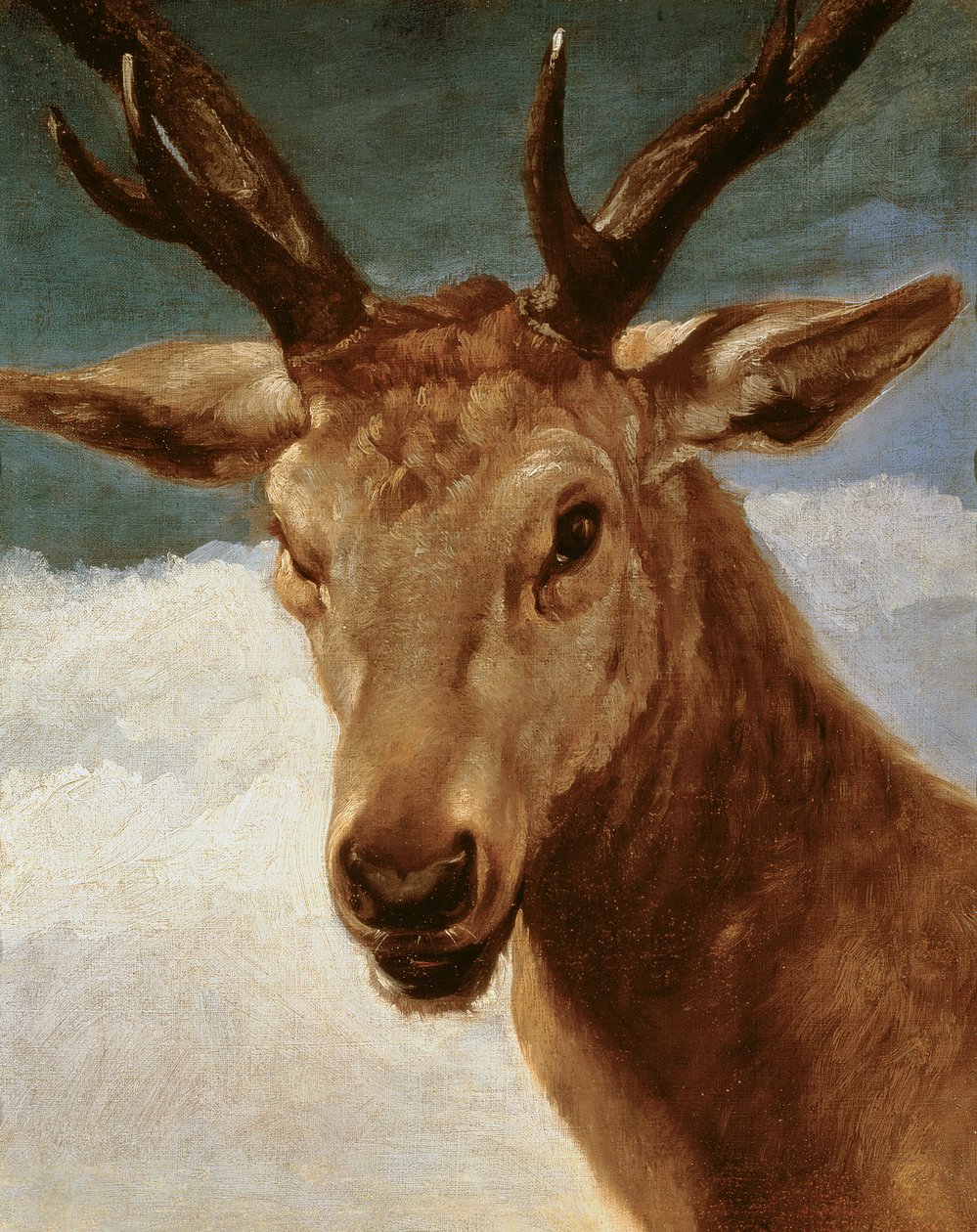 Szarvasfej, 1634 alkotó: Diego Velázquez