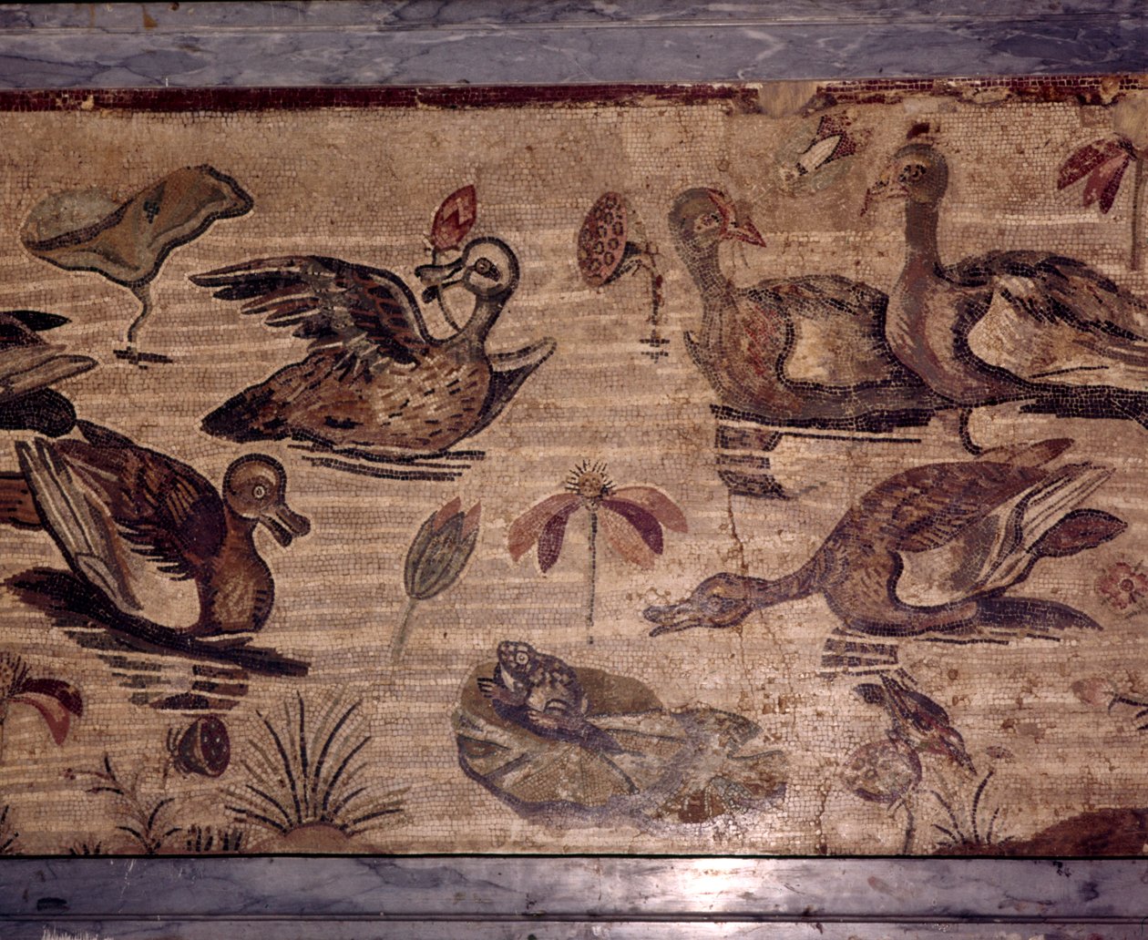 Római mozaik Pompejiből kacsákról és békákról egy vízi kertben, 1. század alkotó: Dioscurides of Samos